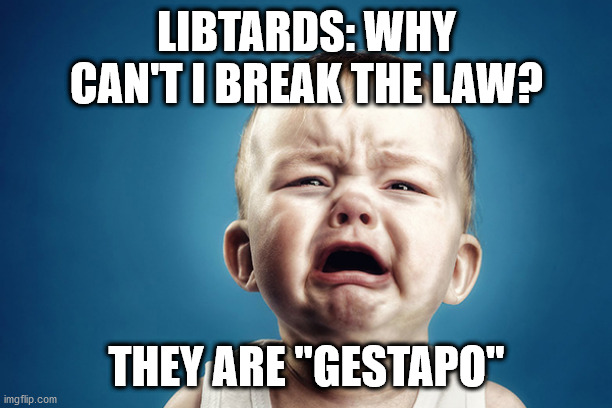 LIBTARDS: WHY CAN'T I BREAK THE LAW? THEY ARE "GESTAPO" | made w/ Imgflip meme maker