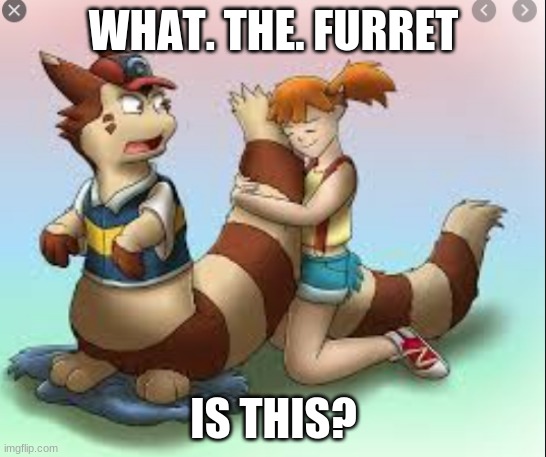 What the FURRET is this??? | WHAT. THE. FURRET; IS THIS? | image tagged in ash and misty furrets,what the furret is this,furrets,ash,misty,memes | made w/ Imgflip meme maker