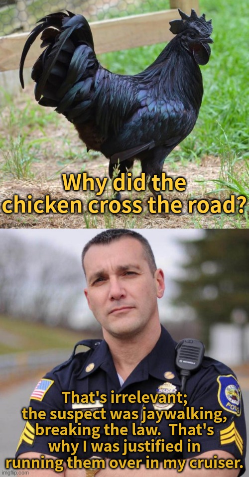 Chicken can't even cross the damn road these days.. | Why did the chicken cross the road? That's irrelevant; the suspect was jaywalking, breaking the law.  That's why I was justified in running them over in my cruiser. | image tagged in cop,why the chicken cross the road,dirty cops,blm,attempt three | made w/ Imgflip meme maker