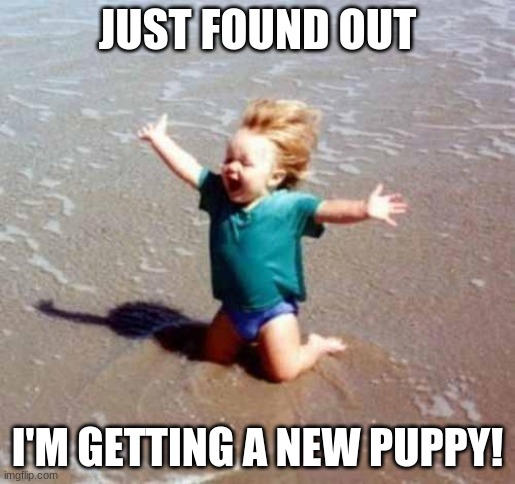 I'm getting a German Shepherd! | JUST FOUND OUT; I'M GETTING A NEW PUPPY! | image tagged in celebration,puppies,german shepherd | made w/ Imgflip meme maker