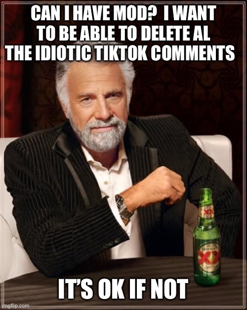 The Most Interesting Man In The World | CAN I HAVE MOD?  I WANT TO BE ABLE TO DELETE AL THE IDIOTIC TIKTOK COMMENTS; IT’S OK IF NOT | image tagged in memes,the most interesting man in the world | made w/ Imgflip meme maker