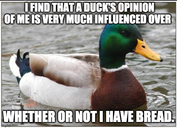 ducks and bread | I FIND THAT A DUCK'S OPINION OF ME IS VERY MUCH INFLUENCED OVER; WHETHER OR NOT I HAVE BREAD. | image tagged in memes,actual advice mallard | made w/ Imgflip meme maker