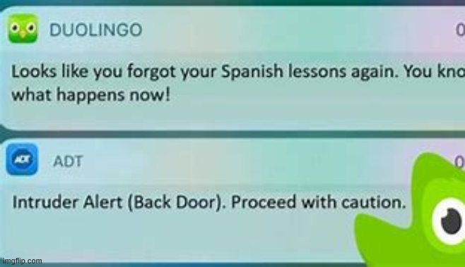 o no duolingo is in ur house | image tagged in duolingo,memes | made w/ Imgflip meme maker