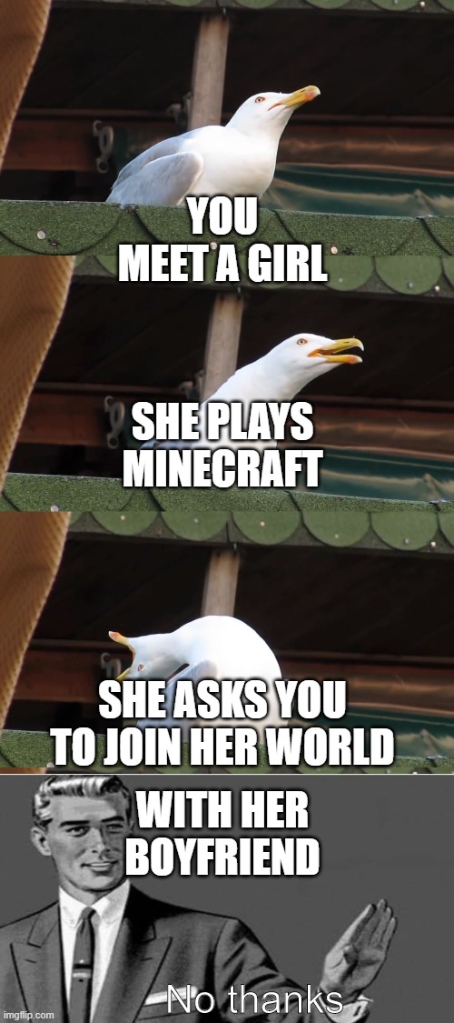 Screaming Seagull | YOU MEET A GIRL; SHE PLAYS MINECRAFT; SHE ASKS YOU TO JOIN HER WORLD; WITH HER BOYFRIEND; No thanks | image tagged in screaming seagull | made w/ Imgflip meme maker