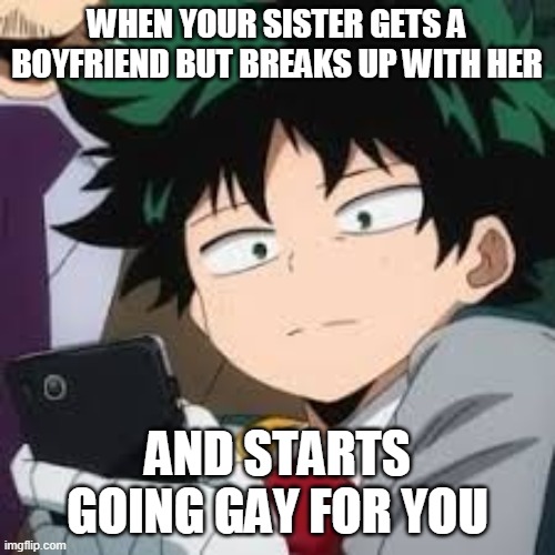 Deku dissapointed | WHEN YOUR SISTER GETS A BOYFRIEND BUT BREAKS UP WITH HER; AND STARTS GOING GAY FOR YOU | image tagged in deku dissapointed | made w/ Imgflip meme maker