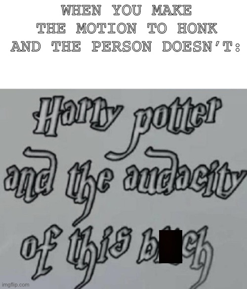 Harry Potter and the audacity | WHEN YOU MAKE THE MOTION TO HONK AND THE PERSON DOESN’T: | image tagged in harry potter and the audacity | made w/ Imgflip meme maker