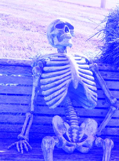 Waiting Skeleton Meme | image tagged in memes,waiting skeleton | made w/ Imgflip meme maker