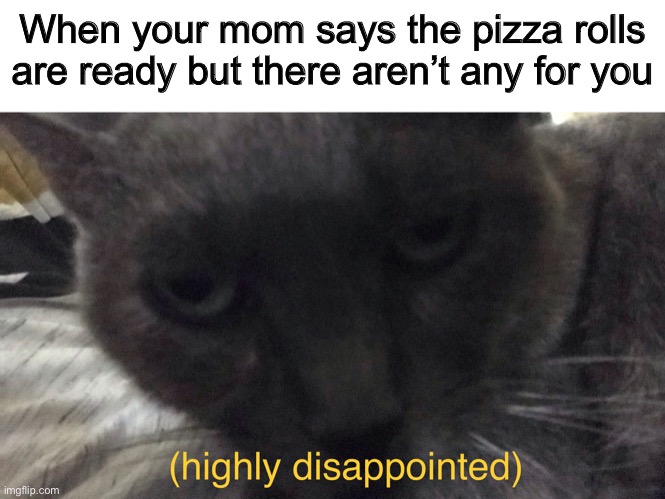 But the pain (they wouldn’t let me use my own personalized tag so yeah.) | When your mom says the pizza rolls are ready but there aren’t any for you | image tagged in grumpy cat | made w/ Imgflip meme maker