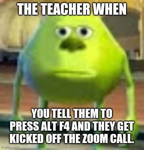 Online school | THE TEACHER WHEN; YOU TELL THEM TO PRESS ALT F4 AND THEY GET KICKED OFF THE ZOOM CALL. | image tagged in sully wazowski | made w/ Imgflip meme maker