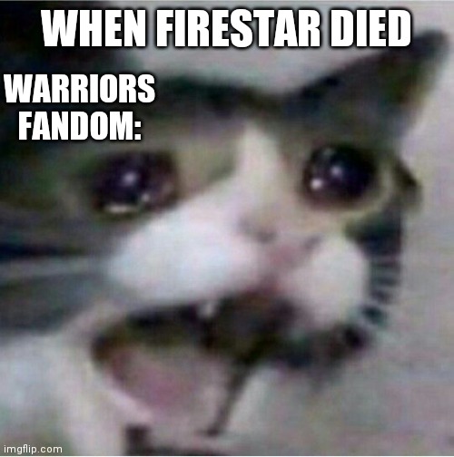 crying cat | WHEN FIRESTAR DIED; WARRIORS FANDOM: | image tagged in crying cat | made w/ Imgflip meme maker