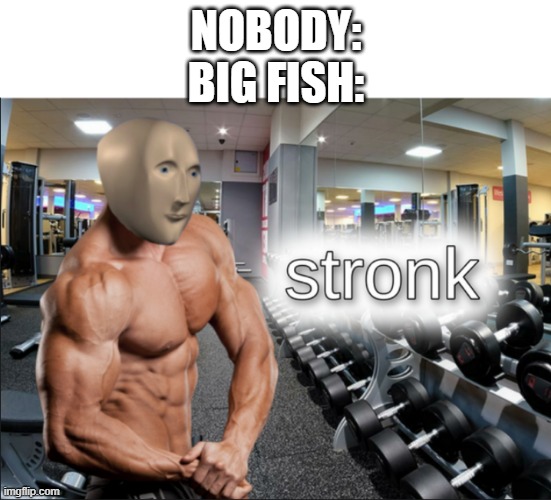 stronks | NOBODY:
BIG FISH: | image tagged in stronks | made w/ Imgflip meme maker