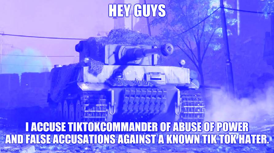 Trial requested | HEY GUYS; I ACCUSE TIKTOKCOMMANDER OF ABUSE OF POWER AND FALSE ACCUSATIONS AGAINST A KNOWN TIK TOK HATER. | image tagged in tiger 237 | made w/ Imgflip meme maker