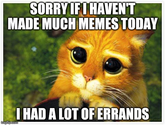 Sorry Kitty | SORRY IF I HAVEN'T MADE MUCH MEMES TODAY; I HAD A LOT OF ERRANDS | image tagged in sorry kitty | made w/ Imgflip meme maker
