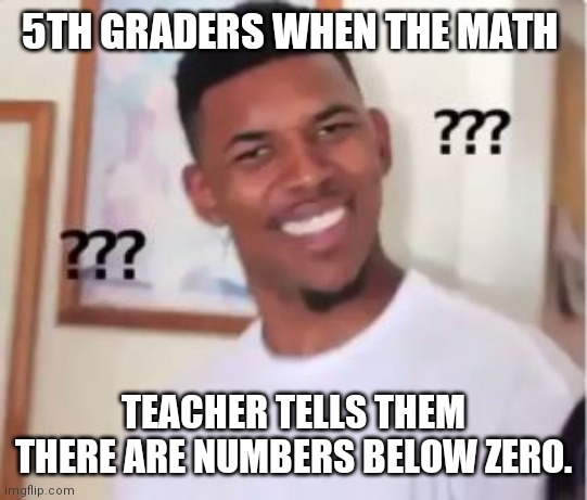 Nick Young | 5TH GRADERS WHEN THE MATH; TEACHER TELLS THEM THERE ARE NUMBERS BELOW ZERO. | image tagged in nick young | made w/ Imgflip meme maker
