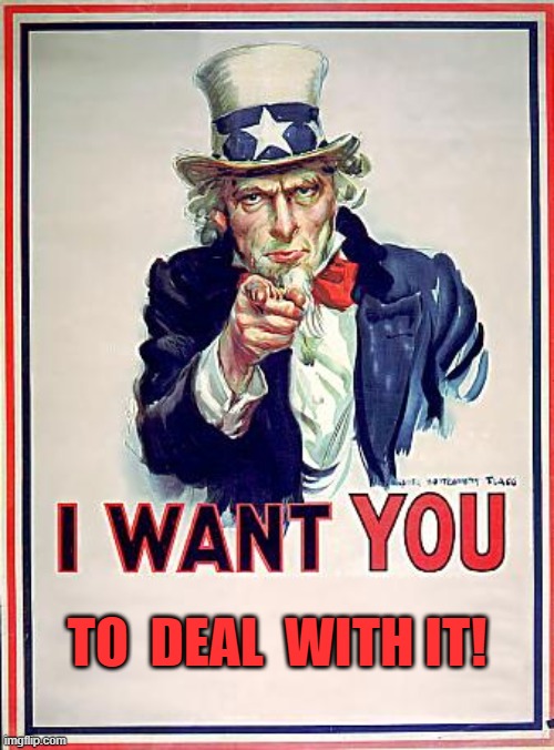 I want you to deal with it! | TO  DEAL  WITH IT! | image tagged in meme,uncle sam,deal with it | made w/ Imgflip meme maker