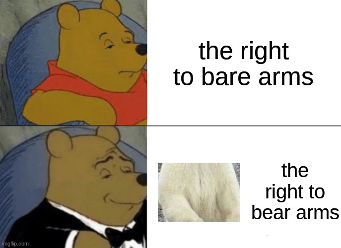 i'll never look at the second amendment again! XD | the right to bare arms; the right to bear arms | image tagged in memes,tuxedo winnie the pooh | made w/ Imgflip meme maker
