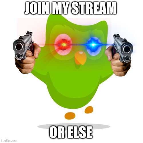 things duolingo teaches you | JOIN MY STREAM OR ELSE | image tagged in things duolingo teaches you | made w/ Imgflip meme maker