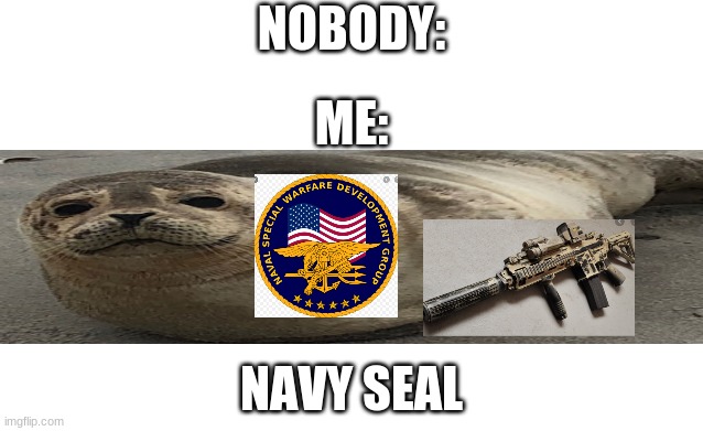 Blank image | NOBODY:; ME:; NAVY SEAL | image tagged in blank image | made w/ Imgflip meme maker