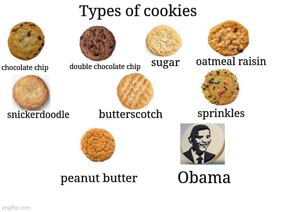 Types of cookies featuring the Obama cookie | Types of cookies; oatmeal raisin; sugar; double chocolate chip; chocolate chip; snickerdoodle; sprinkles; butterscotch; peanut butter; Obama | image tagged in blank white template,obama,cookies,politics,political memes,politics lol | made w/ Imgflip meme maker