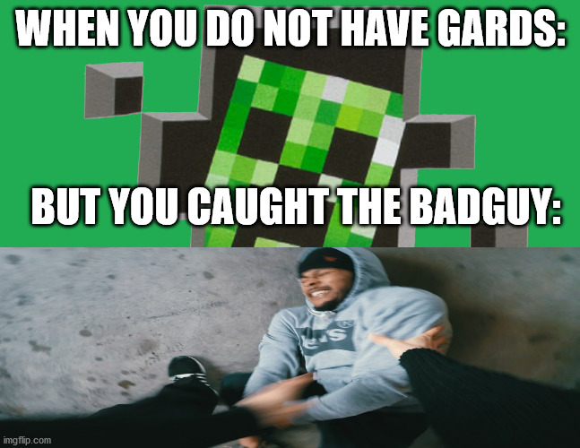 thief meme | WHEN YOU DO NOT HAVE GARDS:; BUT YOU CAUGHT THE BADGUY: | image tagged in lol so funny,cool | made w/ Imgflip meme maker