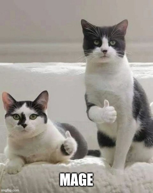 THUMBS UP CATS | MAGE | image tagged in thumbs up cats | made w/ Imgflip meme maker