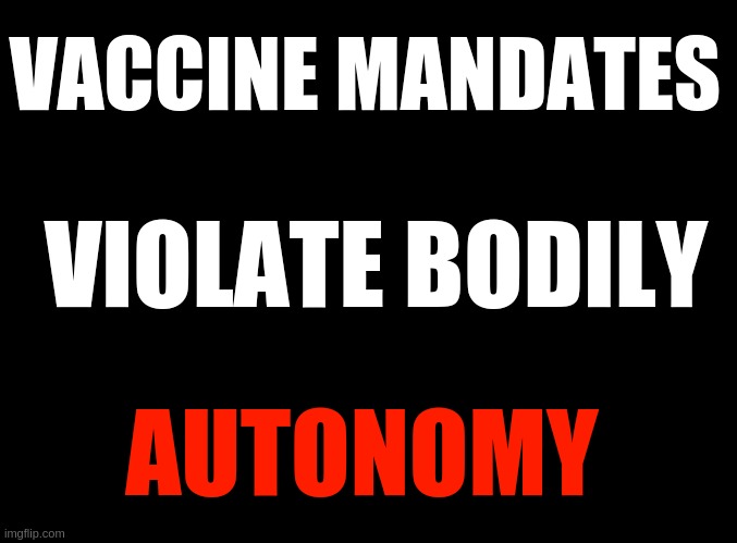 Vaccine mandates violate bodily autonomy | VACCINE MANDATES; VIOLATE BODILY; AUTONOMY | image tagged in blank black | made w/ Imgflip meme maker