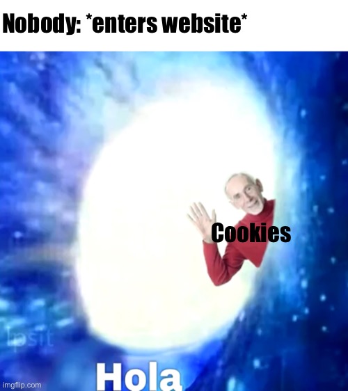 I don’t want your cookies | Nobody: *enters website*; Cookies | image tagged in memes | made w/ Imgflip meme maker