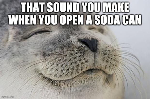 Nice.... | THAT SOUND YOU MAKE WHEN YOU OPEN A SODA CAN | image tagged in memes,satisfied seal | made w/ Imgflip meme maker