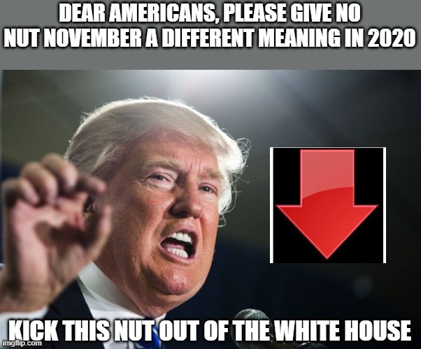 Do not let him f*** yourself again | DEAR AMERICANS, PLEASE GIVE NO NUT NOVEMBER A DIFFERENT MEANING IN 2020; KICK THIS NUT OUT OF THE WHITE HOUSE | image tagged in donald trump,election 2020,no nut november,white house,make america great again,please | made w/ Imgflip meme maker