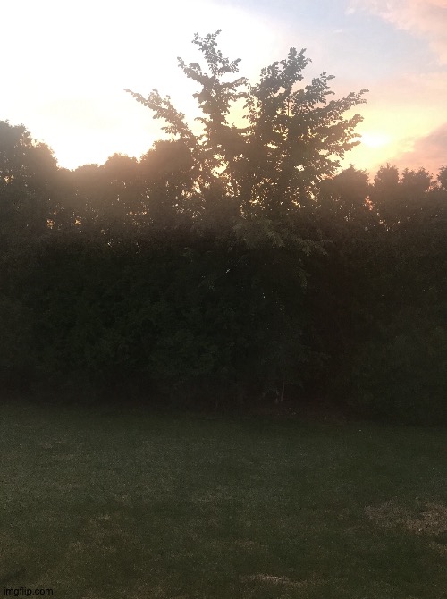 Sunset at my home | image tagged in sunset | made w/ Imgflip meme maker