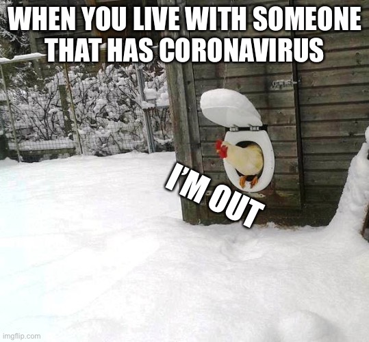 I’m out | WHEN YOU LIVE WITH SOMEONE
THAT HAS CORONAVIRUS; I’M OUT | image tagged in chicken shit | made w/ Imgflip meme maker
