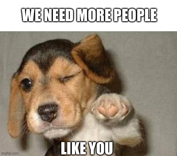 Winking Dog | WE NEED MORE PEOPLE; LIKE YOU | image tagged in winking dog,cute,cute puppies,stupid,weird,feel good | made w/ Imgflip meme maker