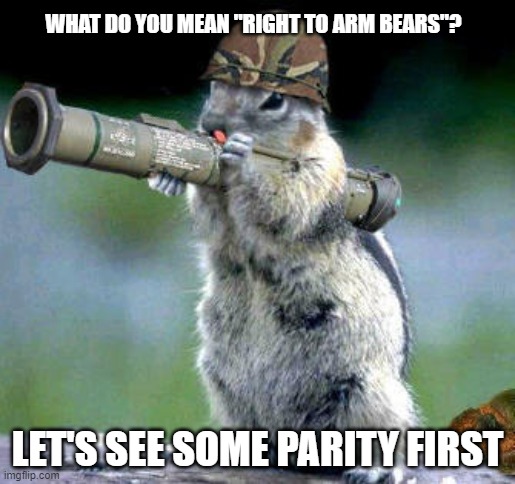 Bazooka Squirrel Meme | WHAT DO YOU MEAN "RIGHT TO ARM BEARS"? LET'S SEE SOME PARITY FIRST | image tagged in memes,bazooka squirrel | made w/ Imgflip meme maker