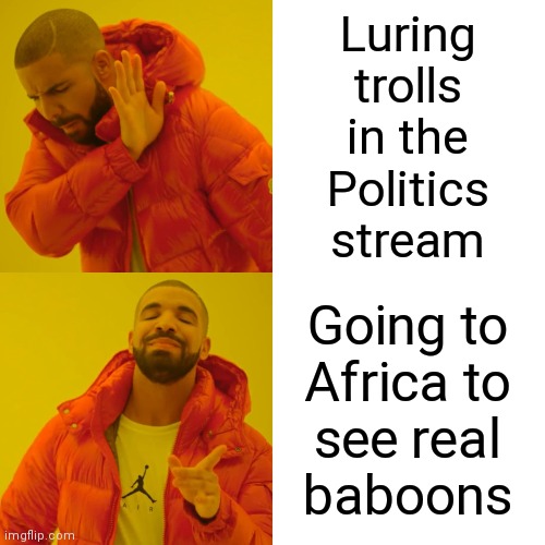 Of course posting in Politics is a lot cheaper ( : | Luring
trolls
in the
Politics
stream; Going to
Africa to
see real
baboons | image tagged in memes,drake hotline bling,my trolls are baboons,with no home training | made w/ Imgflip meme maker