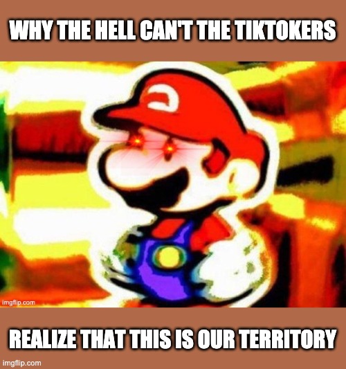 If they like Tiktok so much, why don't they go there?! | WHY THE HELL CAN'T THE TIKTOKERS; REALIZE THAT THIS IS OUR TERRITORY | made w/ Imgflip meme maker