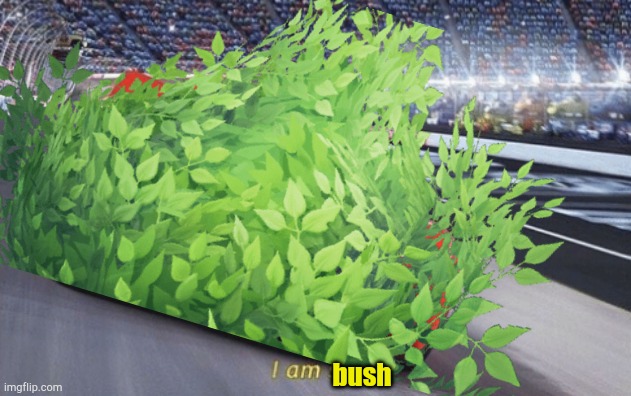 bush | made w/ Imgflip meme maker