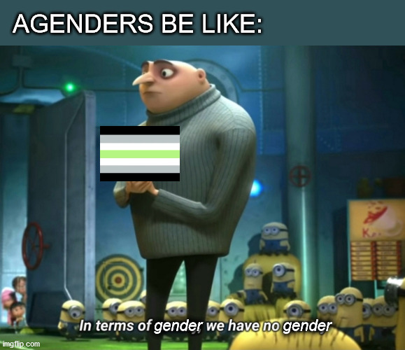 In terms of gender, we have no gender | AGENDERS BE LIKE:; gender                   gender | image tagged in in terms of money we have no money,lgbtq,gender | made w/ Imgflip meme maker