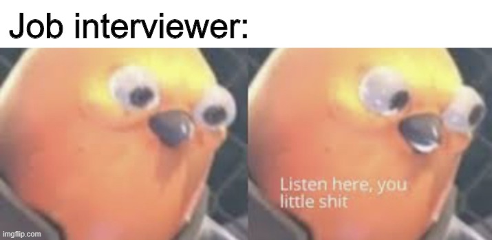 Listen here you little shit bird | Job interviewer: | image tagged in listen here you little shit bird | made w/ Imgflip meme maker