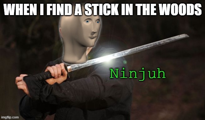 N I N J U H | WHEN I FIND A STICK IN THE WOODS | image tagged in stonks ninjuh | made w/ Imgflip meme maker