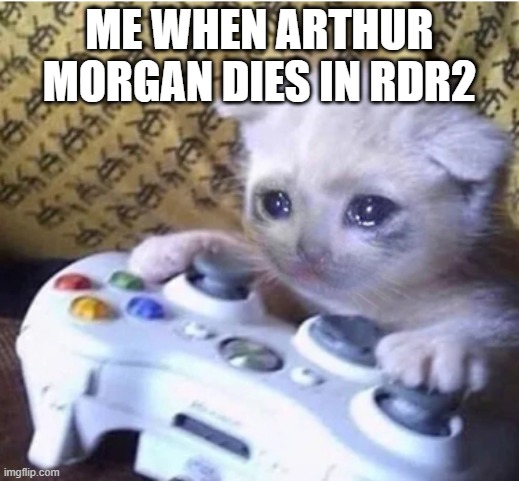 Sad gaming cat | ME WHEN ARTHUR MORGAN DIES IN RDR2 | image tagged in sad gaming cat | made w/ Imgflip meme maker