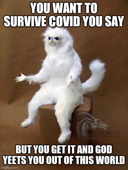 Persian Cat Room Guardian Single | YOU WANT TO SURVIVE COVID YOU SAY; BUT YOU GET IT AND GOD YEETS YOU OUT OF THIS WORLD | image tagged in memes,persian cat room guardian single | made w/ Imgflip meme maker