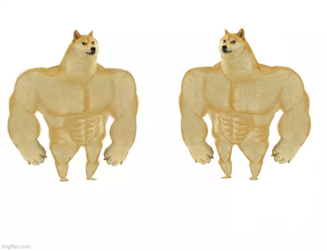 Swole Doge vs. Swole Doge Blank Meme Template