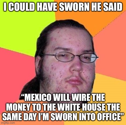 Neckbeard Libertarian | I COULD HAVE SWORN HE SAID “MEXICO WILL WIRE THE MONEY TO THE WHITE HOUSE THE SAME DAY I’M SWORN INTO OFFICE” | image tagged in neckbeard libertarian | made w/ Imgflip meme maker