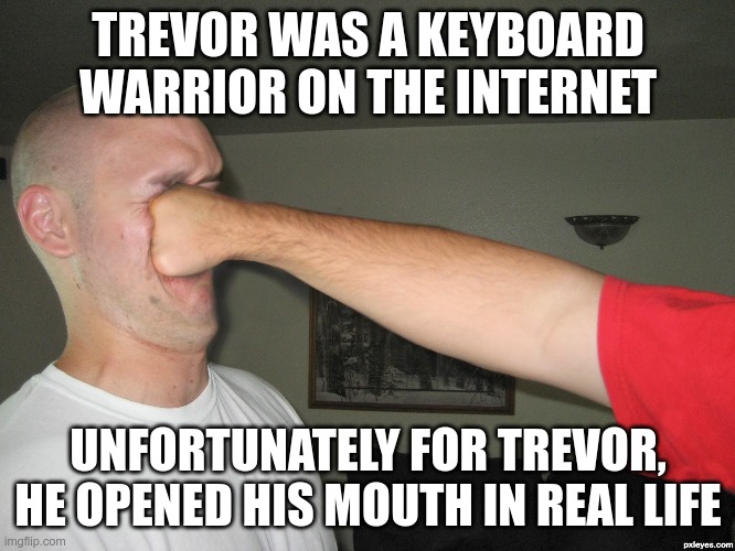Poor Trevor | TREVOR WAS A KEYBOARD WARRIOR ON THE INTERNET; UNFORTUNATELY FOR TREVOR, HE OPENED HIS MOUTH IN REAL LIFE | image tagged in face punch | made w/ Imgflip meme maker