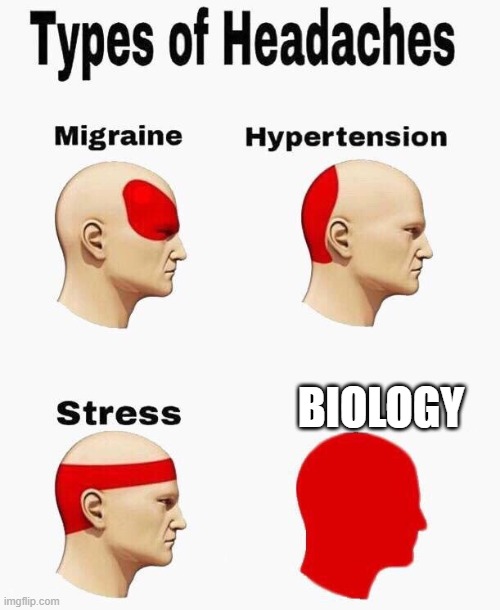 Types of Headaches | BIOLOGY | image tagged in types of headaches | made w/ Imgflip meme maker