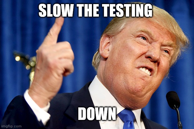 Donald Trump | SLOW THE TESTING; DOWN | image tagged in donald trump | made w/ Imgflip meme maker