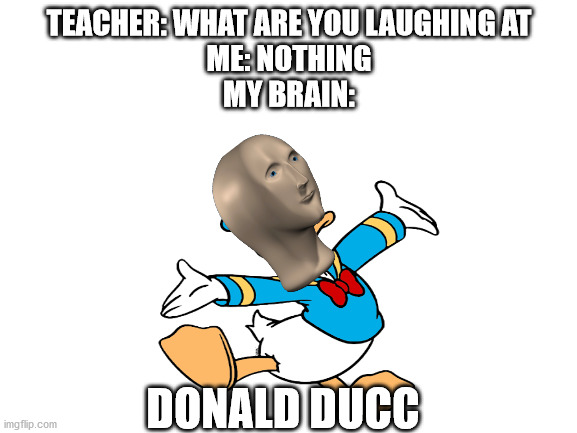 donald ducc | TEACHER: WHAT ARE YOU LAUGHING AT
ME: NOTHING
MY BRAIN:; DONALD DUCC | image tagged in blank white template,memes,gifs | made w/ Imgflip meme maker