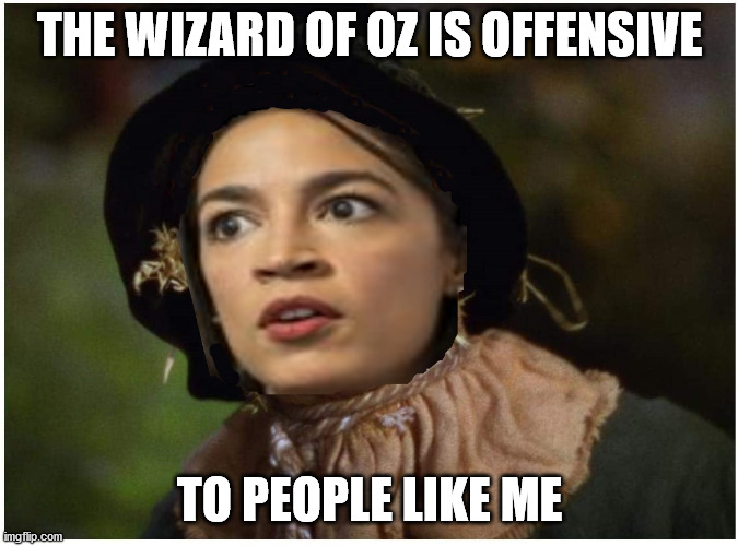 If I Only Had A Brain | THE WIZARD OF OZ IS OFFENSIVE; TO PEOPLE LIKE ME | image tagged in aoc stumped,aoc,democrats | made w/ Imgflip meme maker