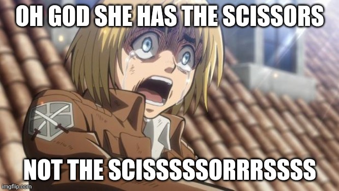 attack on titan | OH GOD SHE HAS THE SCISSORS; NOT THE SCISSSSSORRRSSSS | image tagged in attack on titan | made w/ Imgflip meme maker