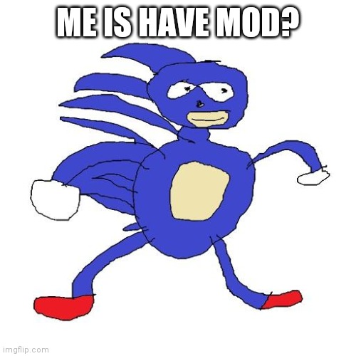 E | ME IS HAVE MOD? | image tagged in sanic | made w/ Imgflip meme maker